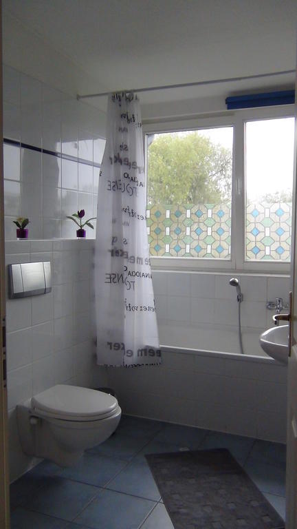 Apartmentpension Am Stadtschloss 포츠담 객실 사진