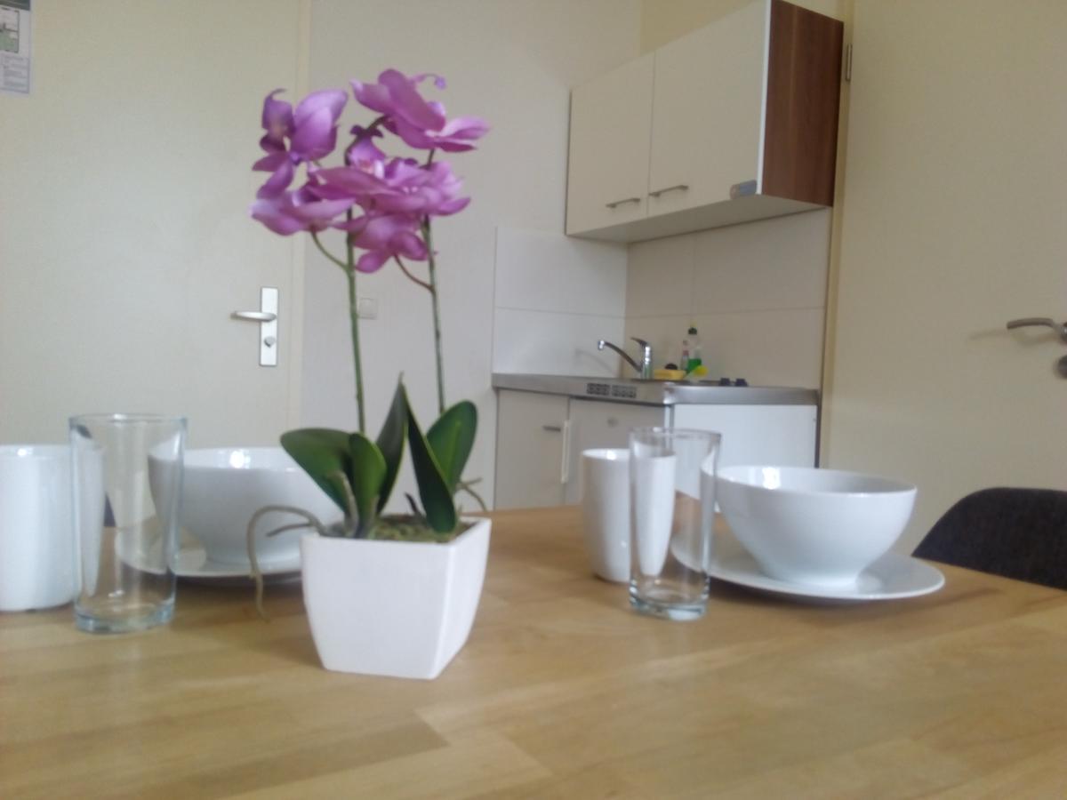 Apartmentpension Am Stadtschloss 포츠담 외부 사진
